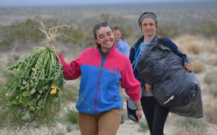 veterans work on a service project during an outward bound veterans course 